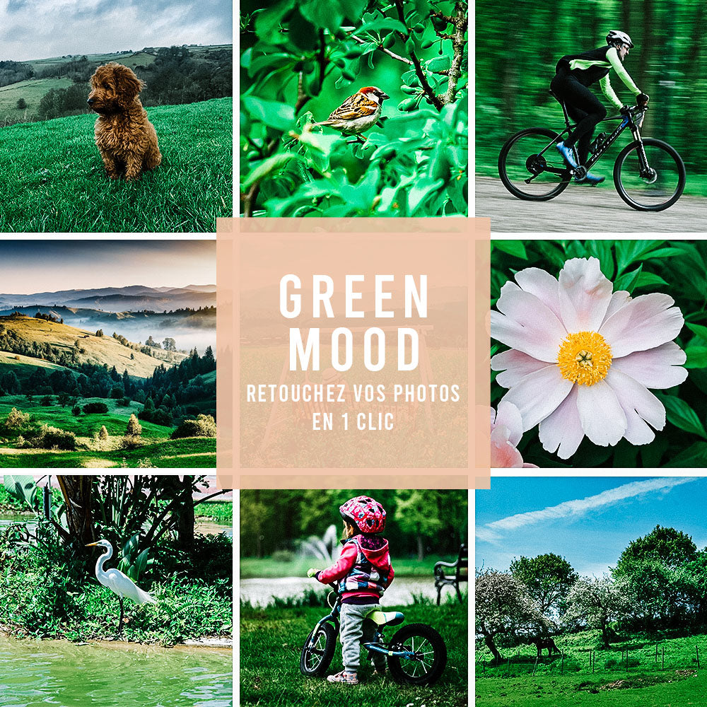 Preset Green Mood